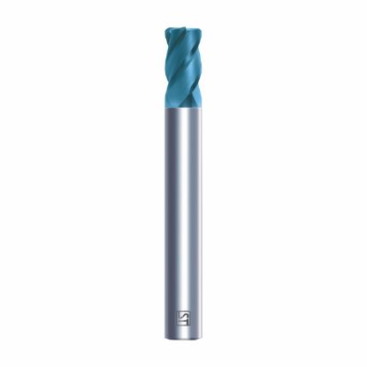 REZKAR PALIČNI TORUS VHM D3,0/R=0,3mm L=60/8mm, vpetje 6,0mm 30° Z=4 S-HC