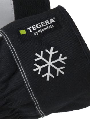 Slika TEGERA 377