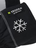 Slika TEGERA 377