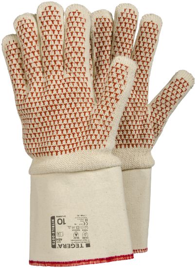 TEGERA 484