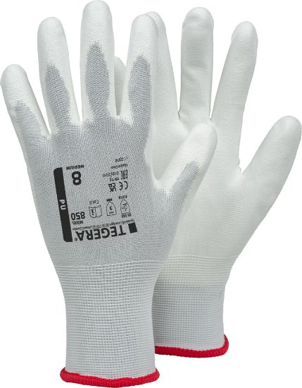 TEGERA 850