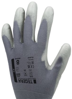 Slika TEGERA 855