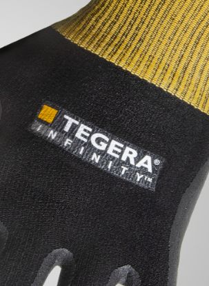 Slika TEGERA Infinity 8800