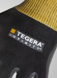Slika TEGERA Infinity 8800