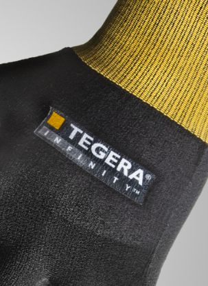 Slika TEGERA Infinity 8801