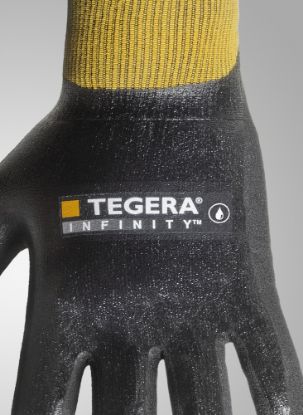 Slika TEGERA Infinity 8804
