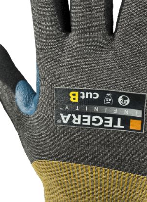 Slika TEGERA Infinity 8805