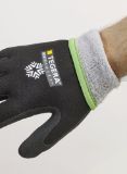 Slika TEGERA Infinity 8810