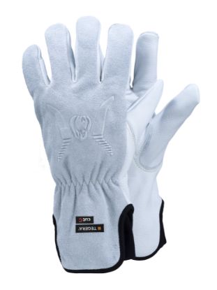 Slika TEGERA Dynamic Strength 7780