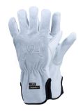 Slika TEGERA Dynamic Strength 7780, CUT C