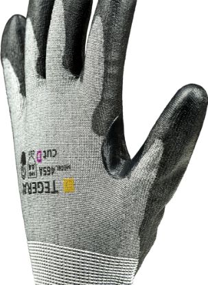 Slika TEGERA 465A