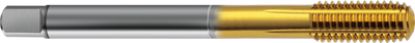 Slika SVEDER OBLIKOVALEC DIN376 M16 6HX HSS-E TIN