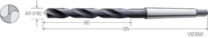 Slika Spiralbohrer HSS-Co DIN 345/N    10,00mm PREMUS