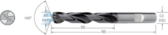 SVEDER ŠPIRALNI VHM DIN6537HB D3,0mm 3xD IK TiAlN ECOLINE