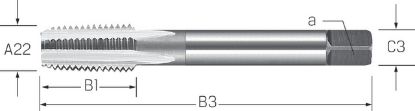 Slika Masch-Gew-Bohrer HSSE-V3 DIN40430/C   PG   21x16 PREMUS