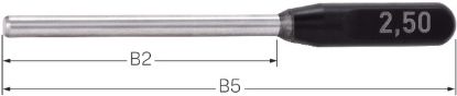 Slika Prüfstift Gen.2=0,002mm m.Griff  0,19mmx53mm