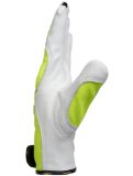 Slika TEGERA 951 CHAIN SAW