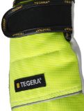 Slika TEGERA 951 CHAIN SAW