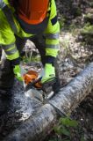 Slika TEGERA 951 CHAIN SAW