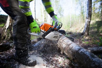 Slika TEGERA 951 CHAIN SAW