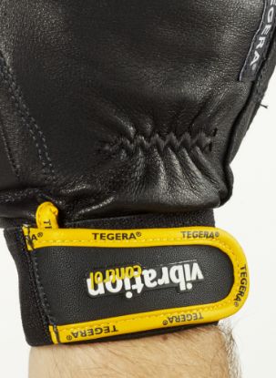 Slika TEGERA Pro 9181
