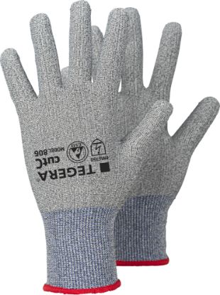Slika TEGERA 806