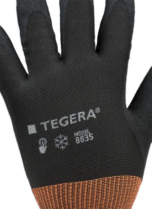 Slika TEGERA 8835