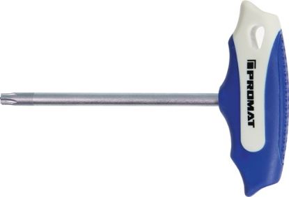 Slika IZVIJAČ TORX T25x100mm