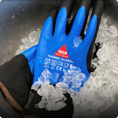 Slika Rokavice delovne zimske THERMO GUARD+
