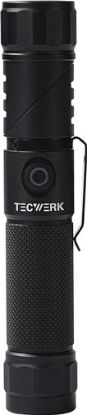 Slika Svetilka LED TECWERK