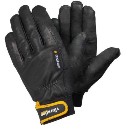 Slika TEGERA Pro 9181A