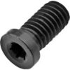 VIJAK M6x1 torx20 L=13,5mm 554.252