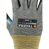 Slika TEGERA Infinity 8807R
