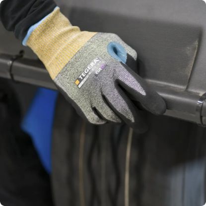 Slika TEGERA Infinity 8807R