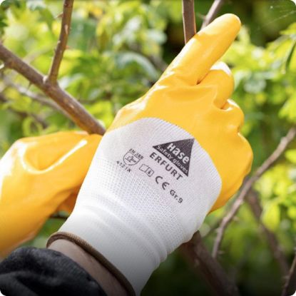 Slika Rokavice delovne vsestranske Erfurt