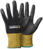 Slika TEGERA Infinity 8800
