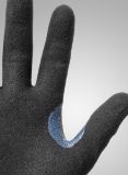 Slika TEGERA Infinity 8806, CUT B