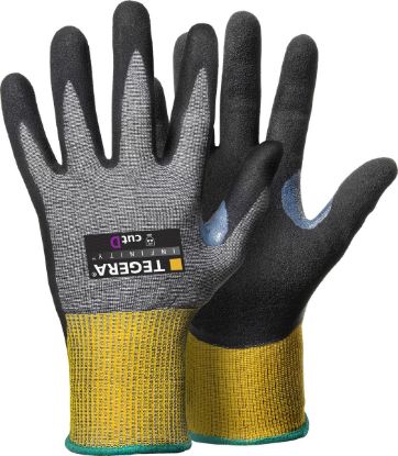 Slika TEGERA Infinity 8807