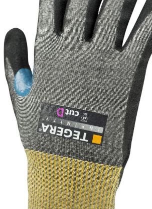 Slika TEGERA Infinity 8811