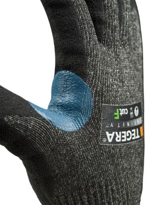 Slika TEGERA Infinity 8814