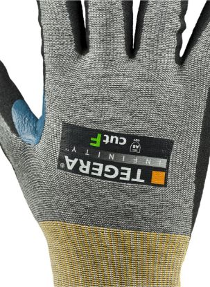 Slika TEGERA Infinity 8815