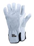 Slika TEGERA Dynamic Strength 7780, CUT C