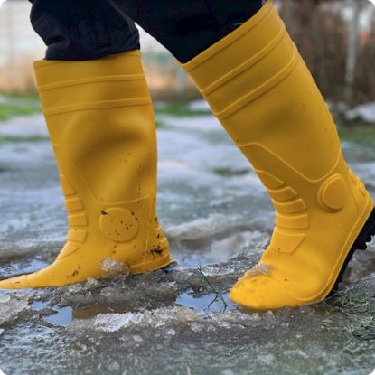 Slika Delovni škorenj s kapico, PVC, rumen, Wiesmoor Yellow, 34 cm, S5